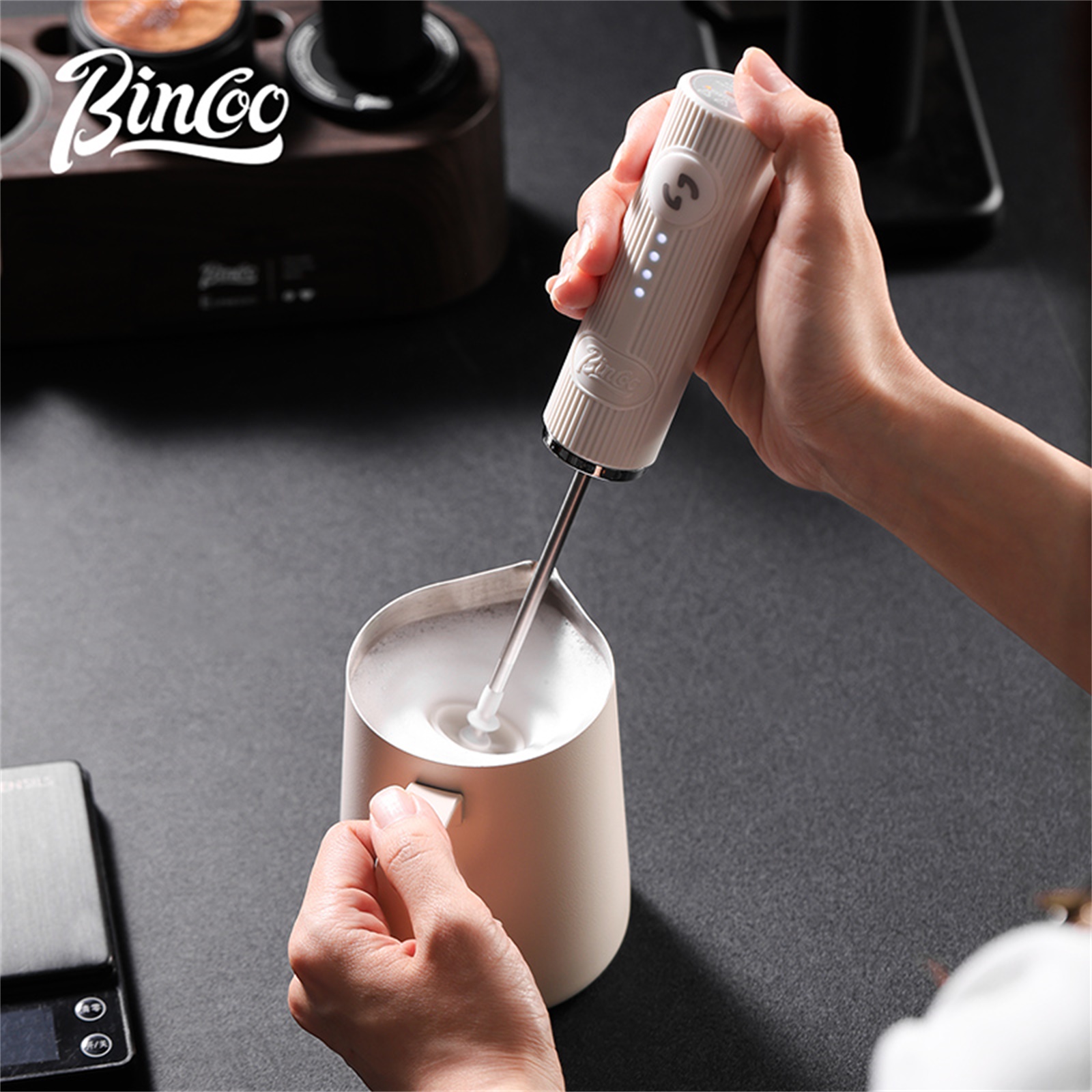 Frusta Elettrica Professionale - Home Barista recensione e prezzo